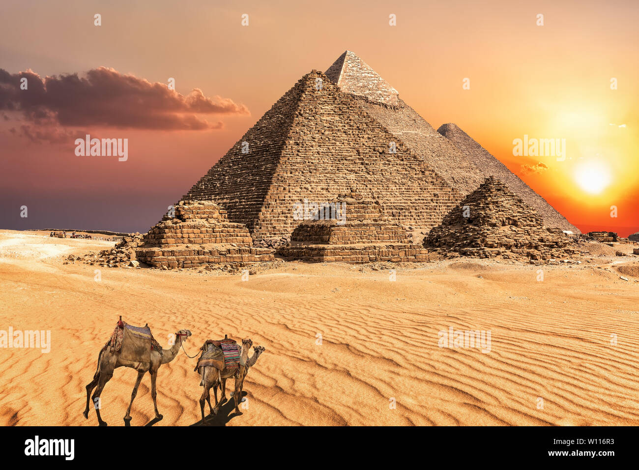 Caravana de camellos cerca de las pirámides de Giza de Egipto. Foto de stock