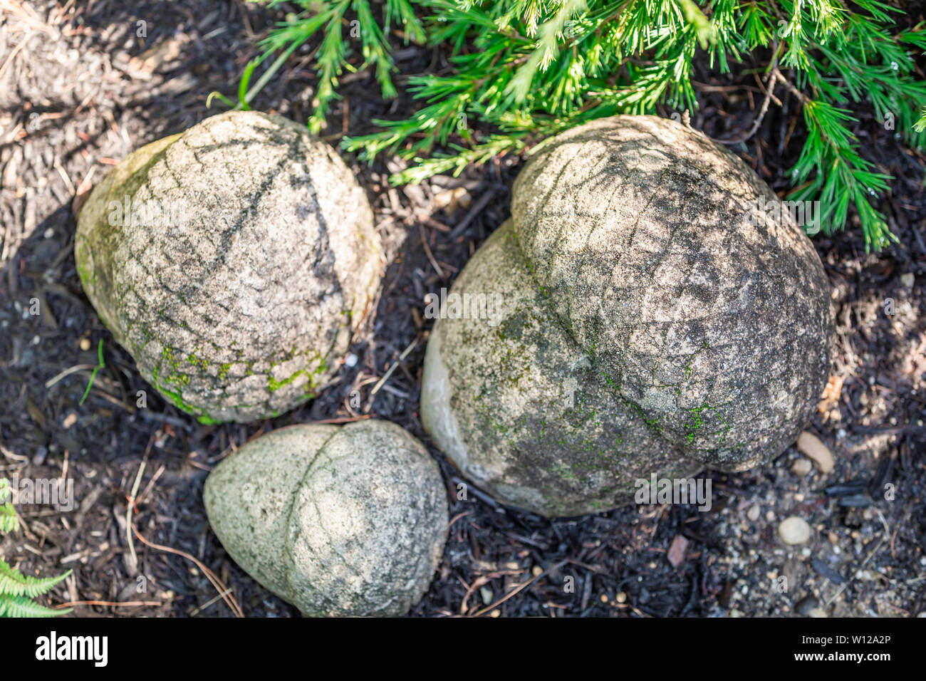 Tres tamaños diferentes de piedra bellotas, nueces Foto de stock