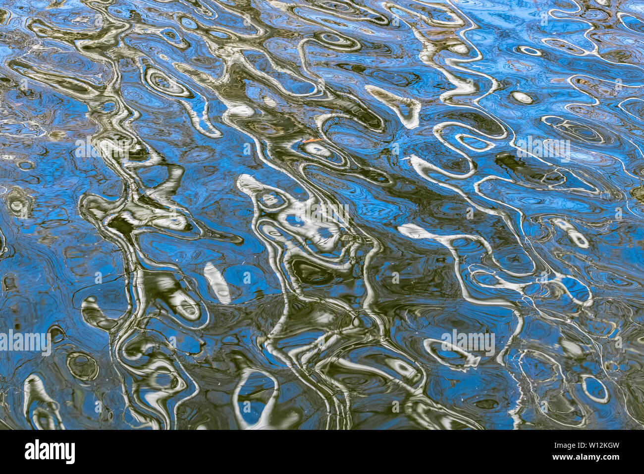Reflexiones de bosque en un estanque, el muelle, el Este de los Estados Unidos, por Dominique Braud/Dembinsky Foto Assoc Foto de stock