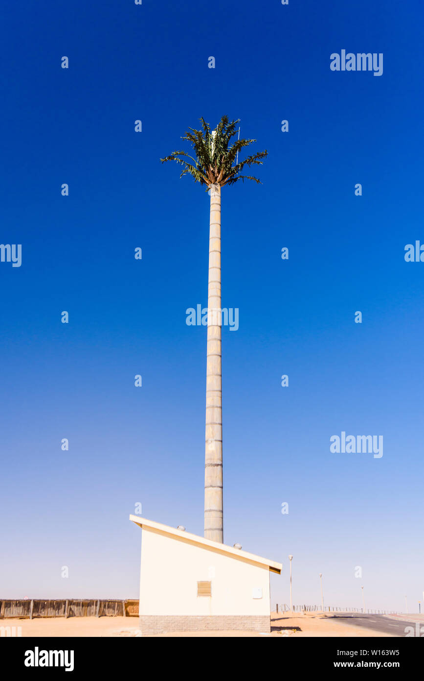 El mástil de la antena de teléfono móvil disfrazado como una gran palmera con hojas, Langstrand, Namibia Foto de stock