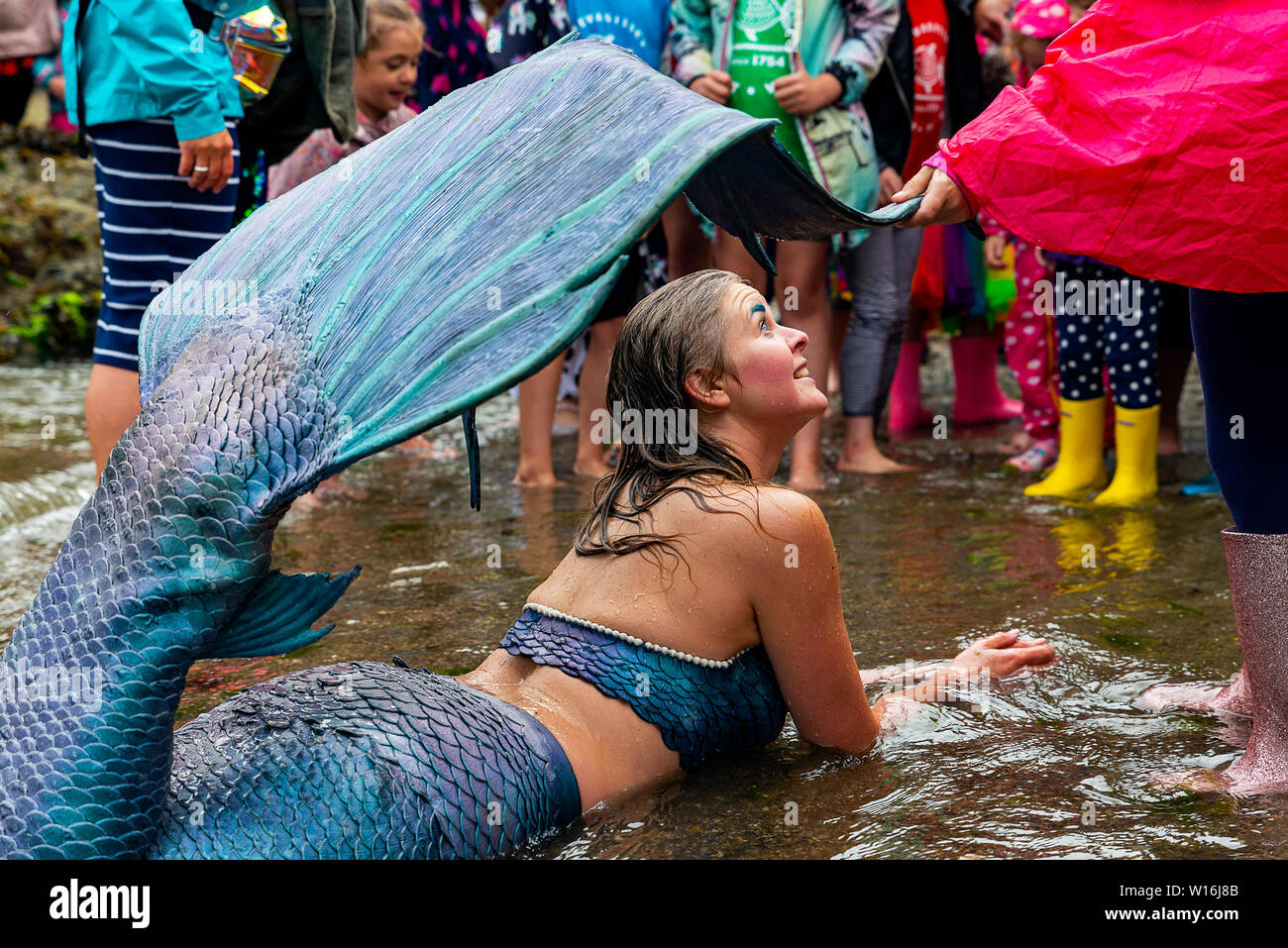 Editorial: Mevagissey, Cornualles, en el Reino Unido. 23/06/2019 Professional mermaid Laura Evans emociona a jóvenes y viejos como "lavados" en Mevagissey Harbour. Foto de stock