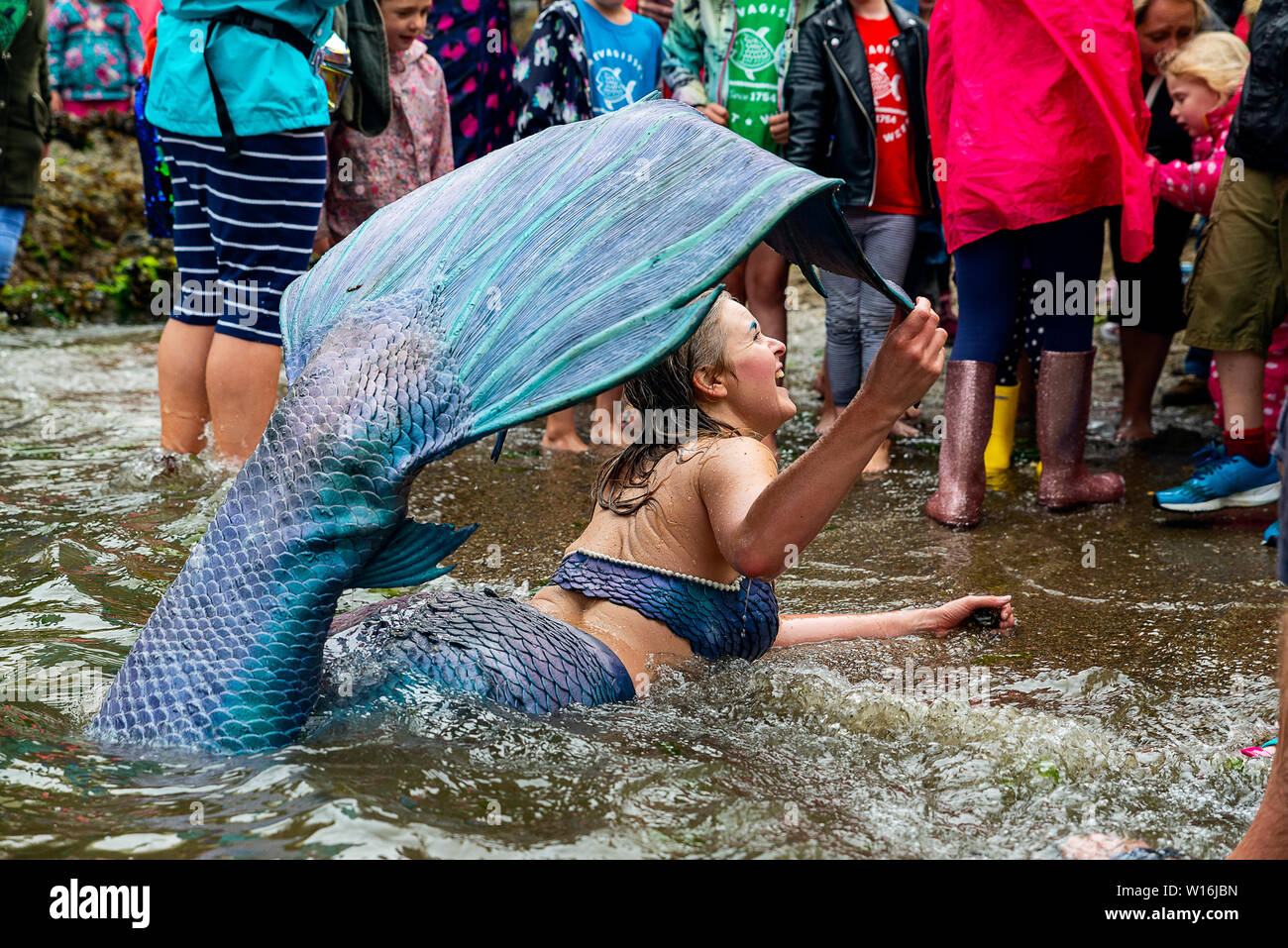 Editorial: Mevagissey, Cornualles, en el Reino Unido. 23/06/2019 Professional mermaid Laura Evans emociona a jóvenes y viejos como "lavados" en Mevagissey Harbour. Foto de stock