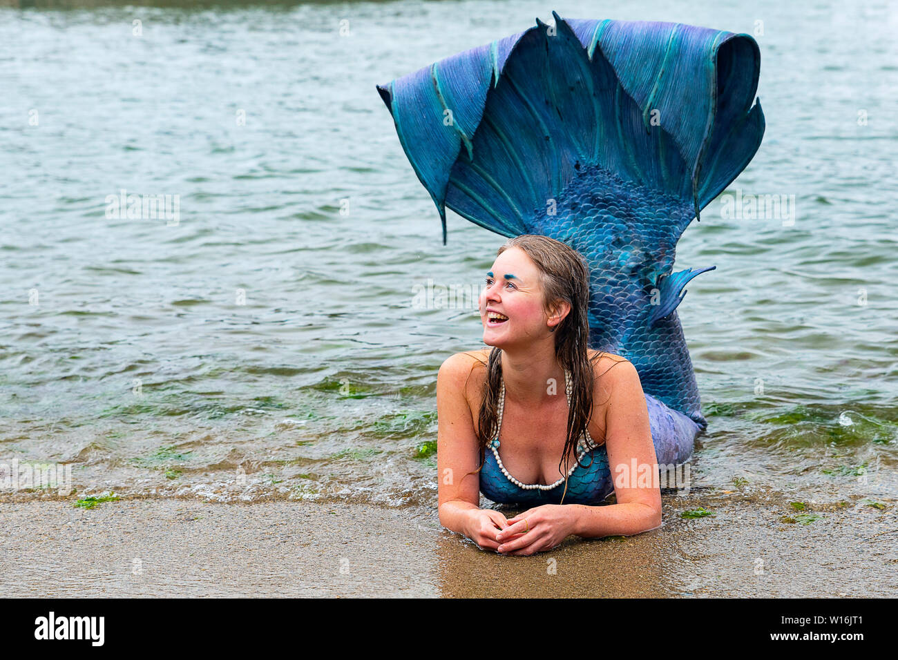 Editorial: Mevagissey, Cornualles, en el Reino Unido. 23/06/2019 Professional mermaid Laura Evans emociona a jóvenes y viejos como "lavados" en Mevagissey Harbour. Foto de stock