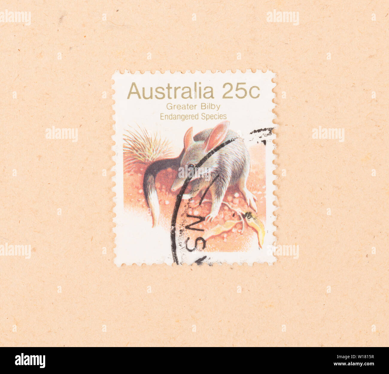 AUSTRALIA - circa 1980: un sello impreso en Australia muestra mayor Bilby, circa 1980 Foto de stock