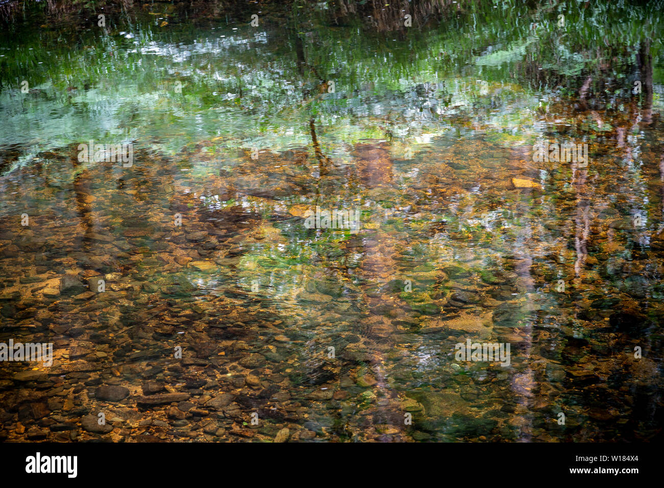 Río Teign,Dunsford,Dartmoor, el medio ambiente, la conservación del medio ambiente, ecologista, Sendero, diversión, de color verde hierba, Horizontal, el impresionismo Foto de stock
