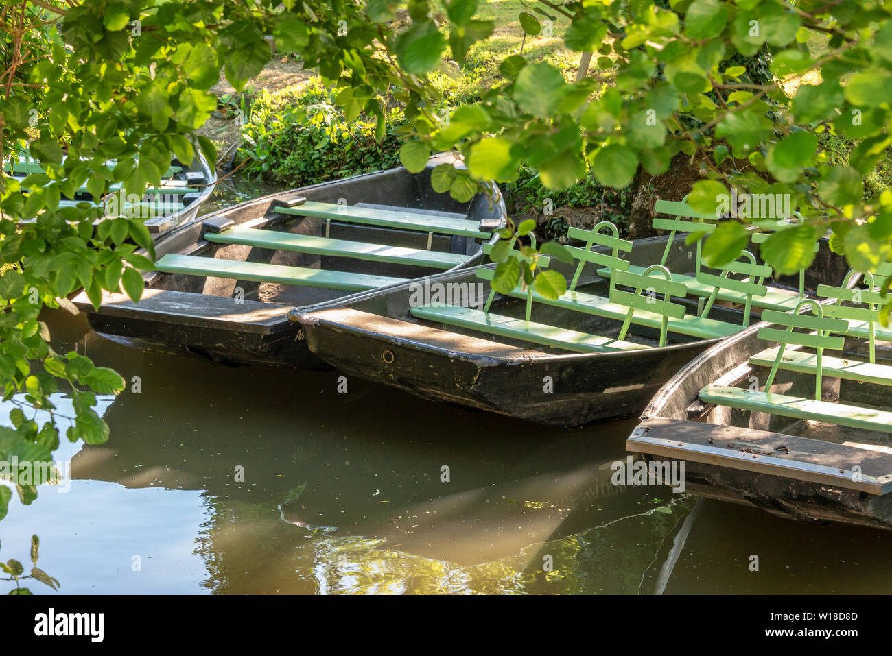 Pier con botes de remos en la Venecia Verde del Marais Poitevin, Francia Foto de stock