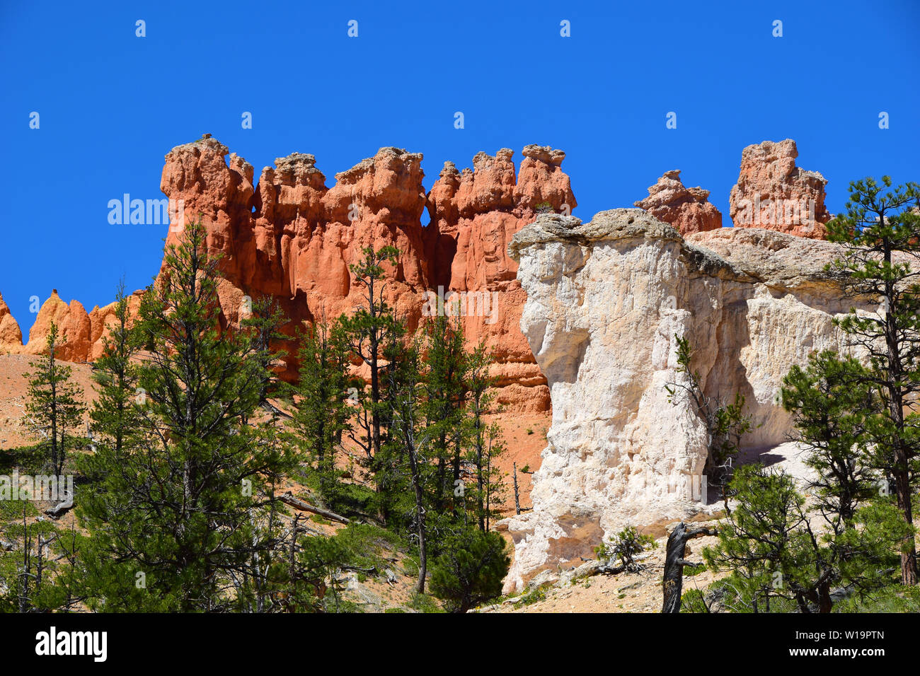 Formaciones rocosas en el suroeste de Utah, EE.UU. Foto de stock