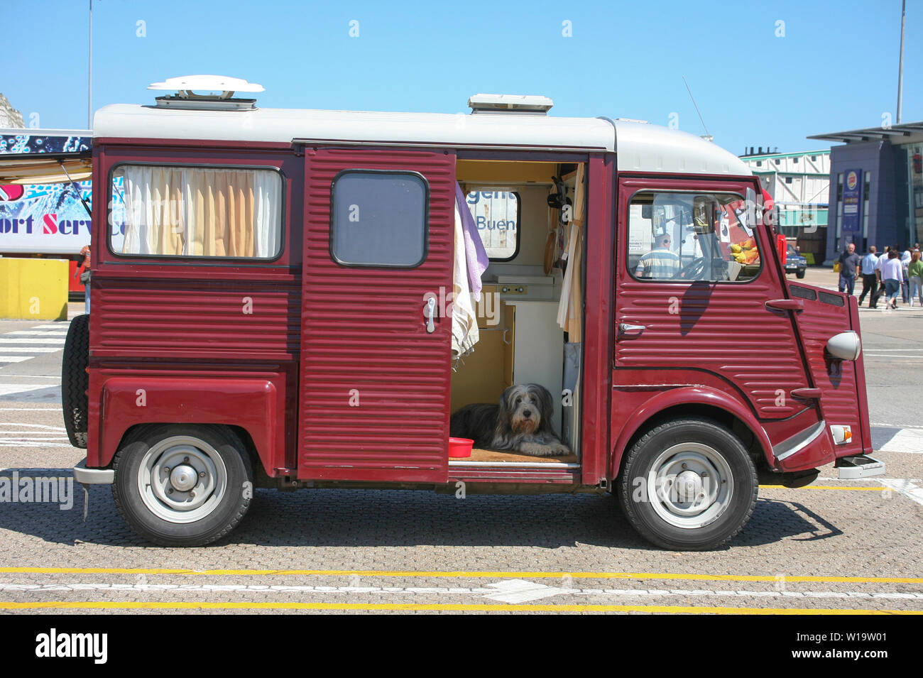 COLLIE barbudo en camper esperando el embarque de ferry Foto de stock