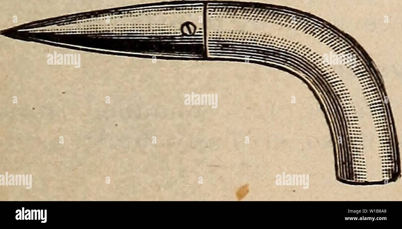 Imagen de archivo de la página 34 del catálogo descriptivo y lista de precios. Catálogo Descriptivo y lista de precios : flor, campo y jardín semillas . descriptivecatal1908fianza Año: 1908 desmalezado azadas. 1 Prong. 30c. 2 Prong, 35c. Campeón rastrillos de jardinería. Fabricado de acero forjado ished pol-. Los más fuertes y más duraderas en el mercado del rastrillo. 14 dientes. Cada uno de los 55C, 16 dientes, cada uno de los 60c. El pequeño ASPINWALL. Planta DIBBER. Se han de madera- dle con punto de acero sólido. Utilizada para hacer los agujeros para la fijación de las plantas. 35c. Foto de stock
