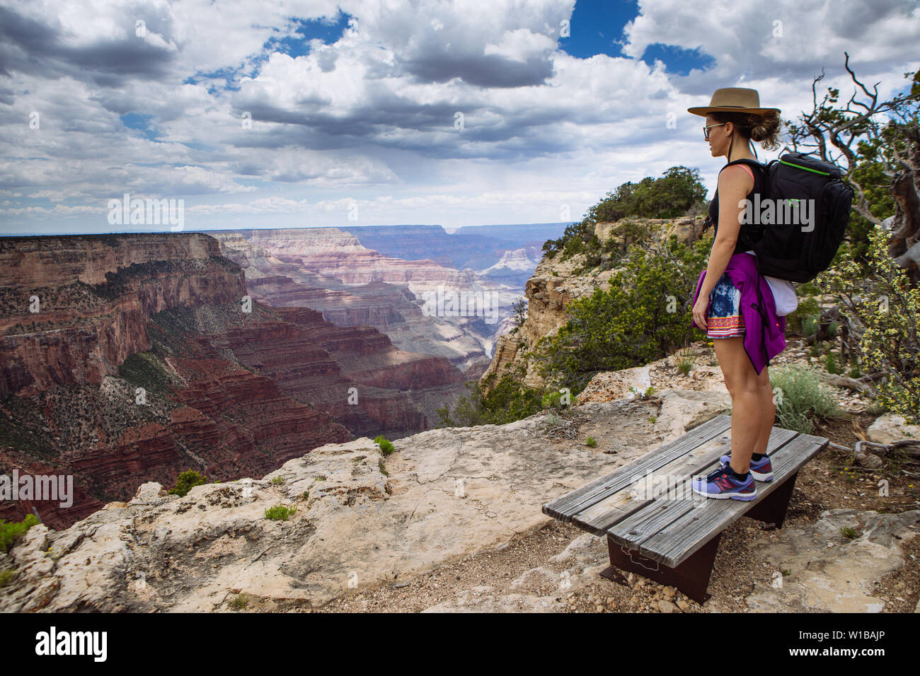 Fotógrafo Atourist mujer con una mochila de fotografía disfrutando de la vista del South Rim, el Parque Nacional del Gran Cañón, Arizona, EE.UU. Foto de stock
