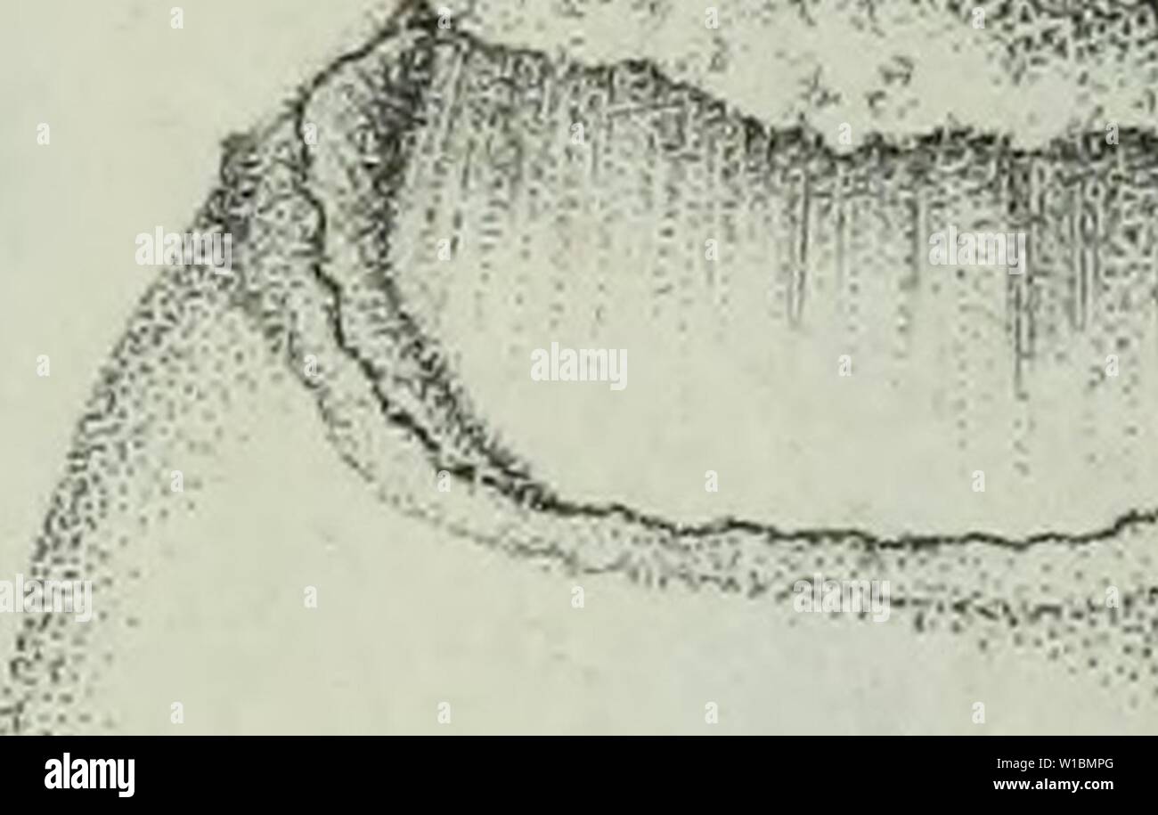 Dibujo de conteo fotografías e imágenes de alta resolución Página 6