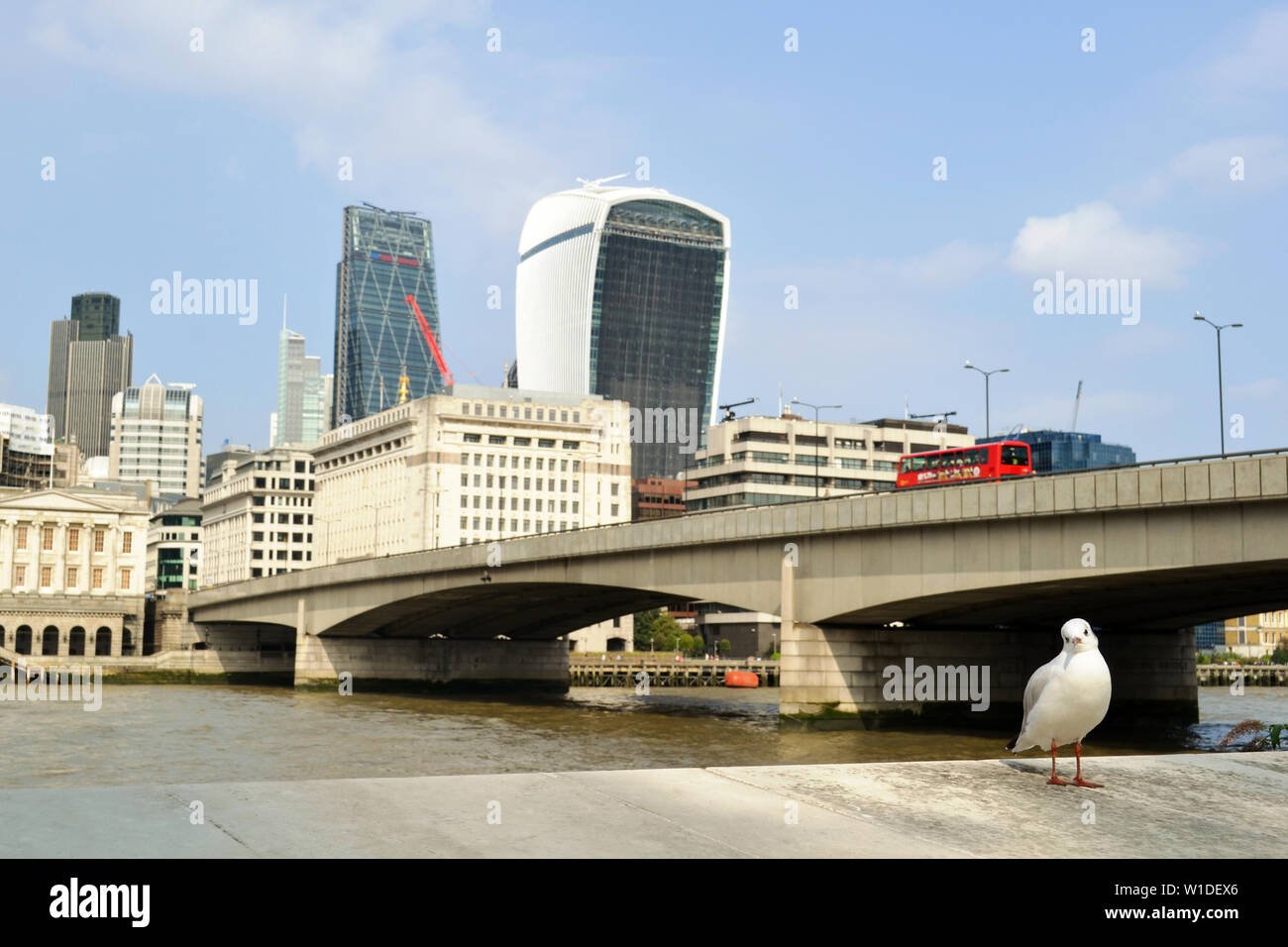 Londres/UK - Septiembre 7, 2014: gaviota blanca de pie en la orilla con la City de Londres, el río Támesis y el puente de Londres en segundo plano. Foto de stock