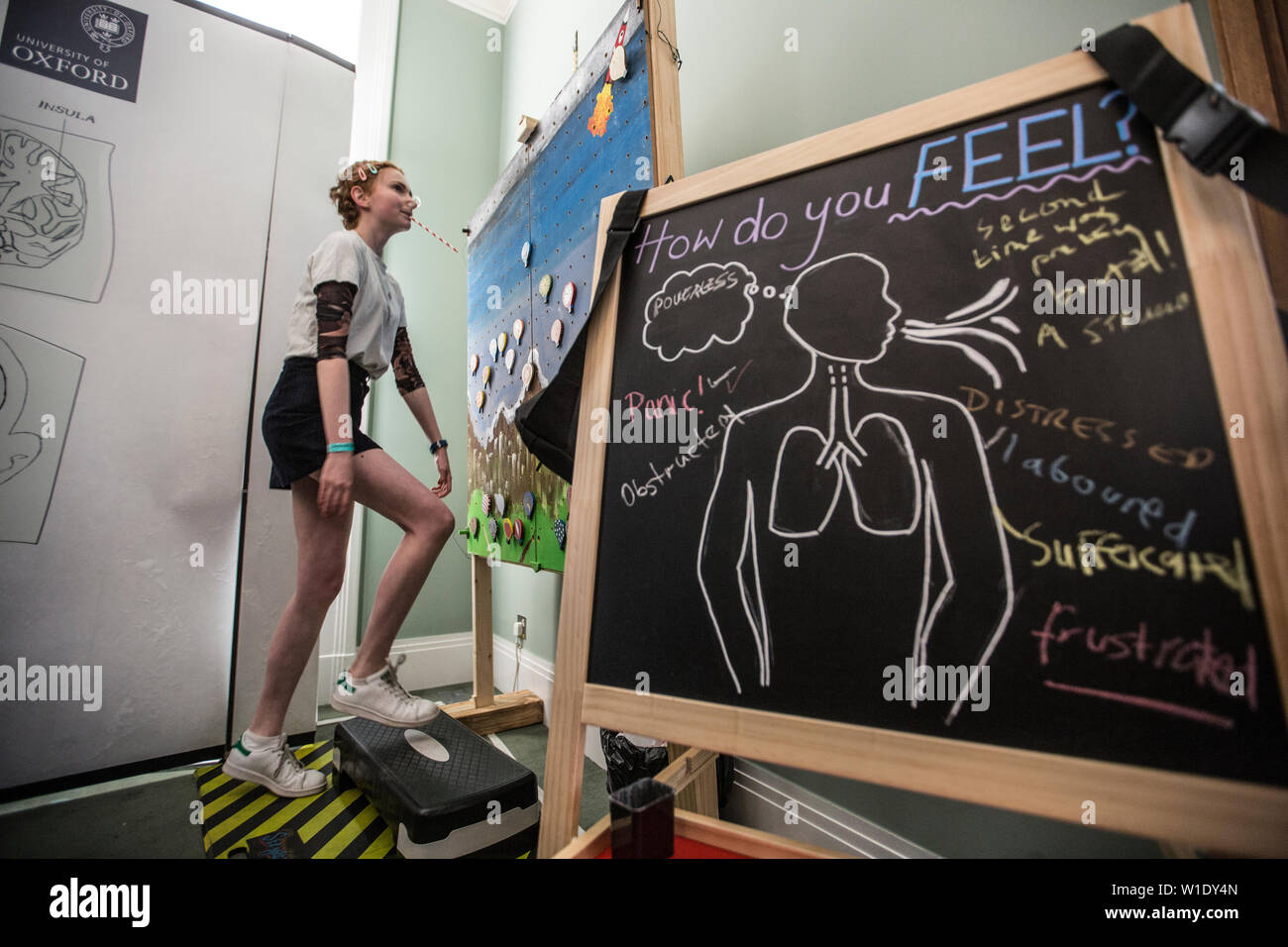 Sociedad Real de Ciencias de verano Exposición, respiración con tu cerebro, explorar cómo el cerebro influye en el proceso de respiración, Londres, Reino Unido. Foto de stock