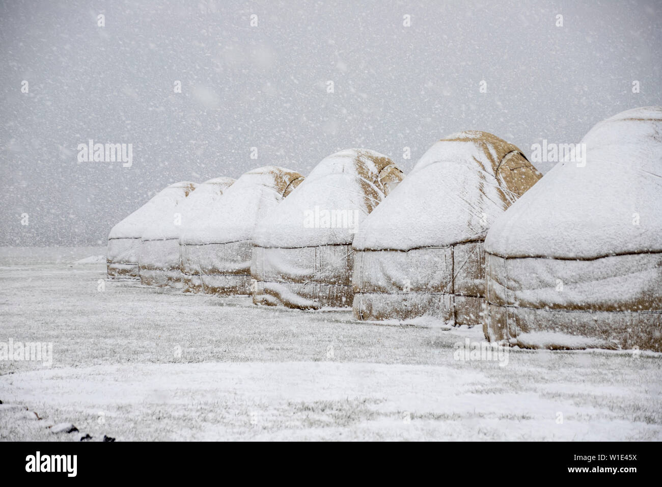 Yurt bajo la nieve en medio de un campo cubierto de nieve. Viajes Kirguistán. Foto de stock