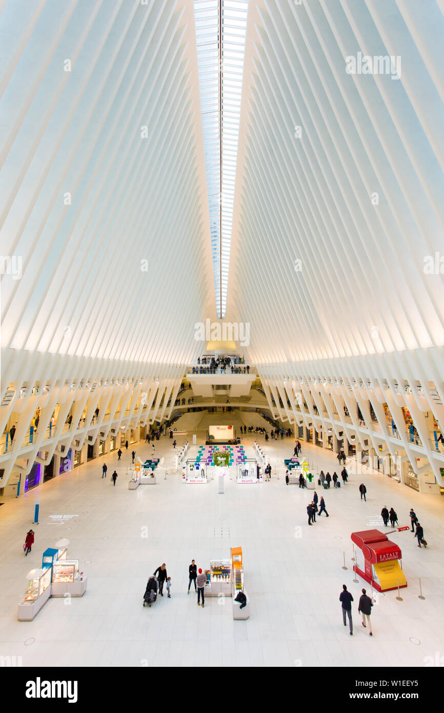 Oculus, World Trade Center, Centro de Transporte, el distrito financiero de Manhattan, Ciudad de Nueva York, Nueva York, Estados Unidos de América, América del Norte Foto de stock