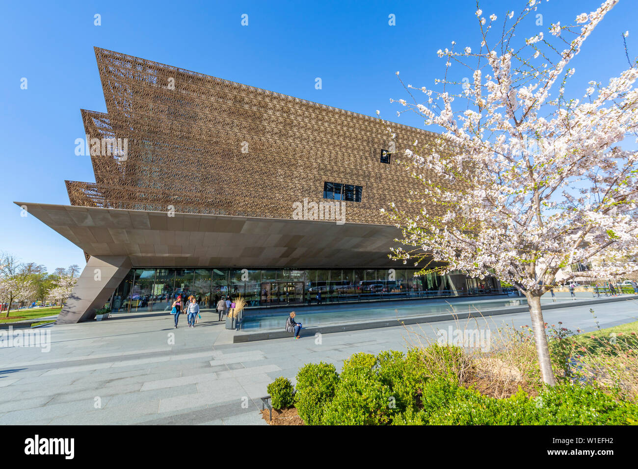 El Museo Nacional de Historia y Cultura Afroamericana en primavera, Washington D.C., Estados Unidos de América, América del Norte Foto de stock