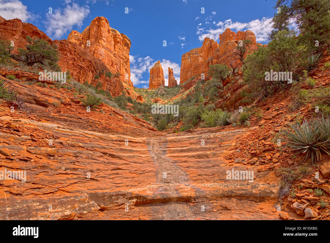 Cathedral Rock en Sedona vistos desde un sendero oculto en el lado oeste de la roca, Sedona, Arizona, Estados Unidos de América, América del Norte Foto de stock