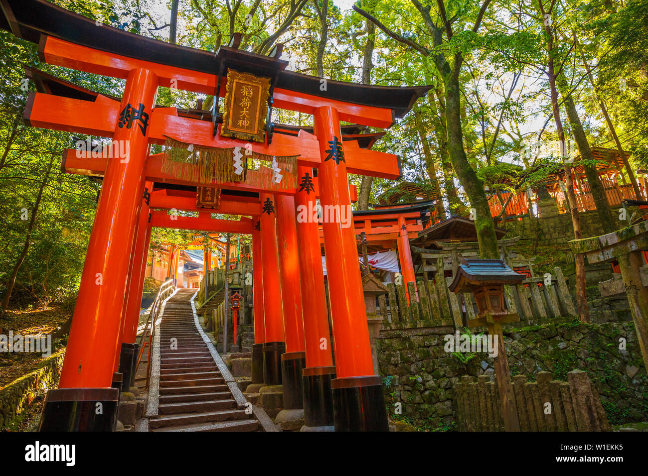 Mil puertas torii, Fushimi Inari Taisha, el santuario sintoísta más  importante, Kyoto, Japón, Asia Fotografía de stock - Alamy