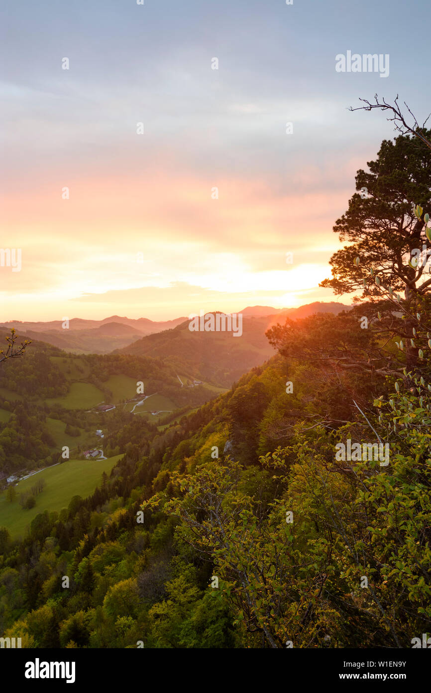 Frankenfels: vista desde la cumbre de Río Pielach Falkenstein valle, casas de labranza, prados Mostviertel, Niederösterreich, Baja Austria, Austria Foto de stock