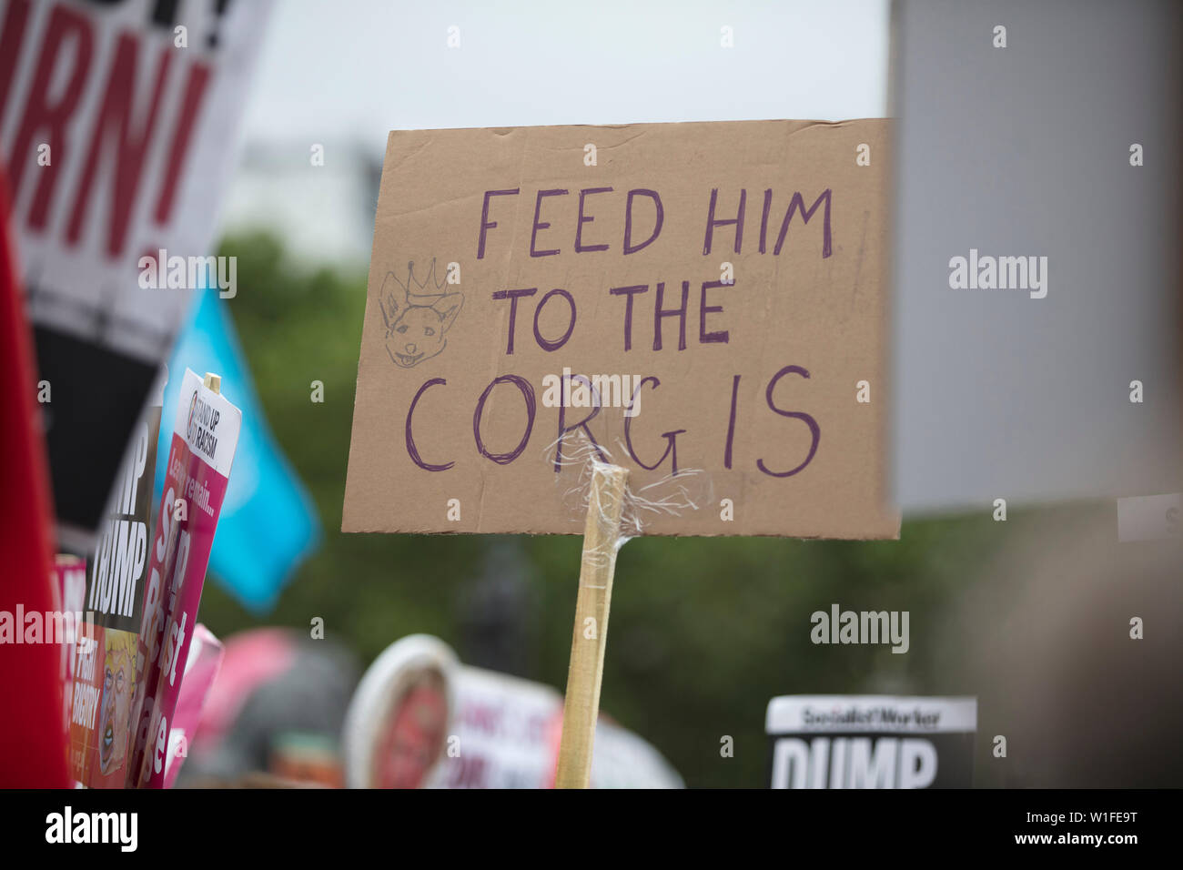 Un manifestante sostiene un estandarte político con su alimentación a los corgis mensaje Foto de stock