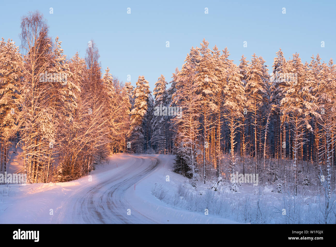 Sinuosas carreteras con nieve y hielo a través del paisaje forestal de invierno Foto de stock
