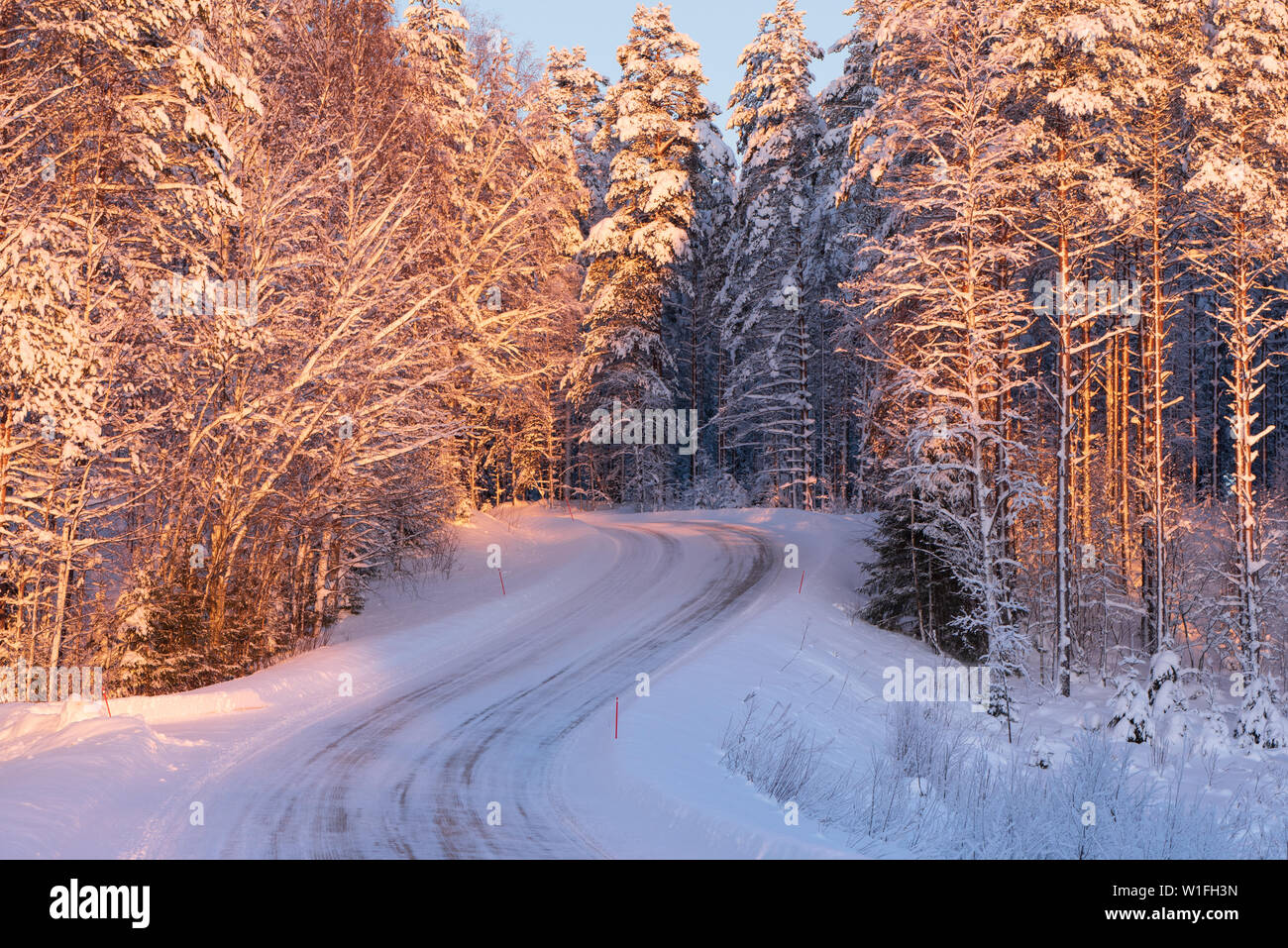 Sinuosas carreteras con nieve y hielo a través del paisaje forestal de invierno Foto de stock