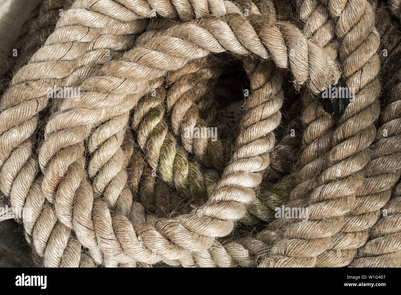Un enrollado, la longitud de la cuerda de amarre para embarcaciones  pesadas, también utilizado para entrenamiento pesado / fitness entrenamiento  Fotografía de stock - Alamy
