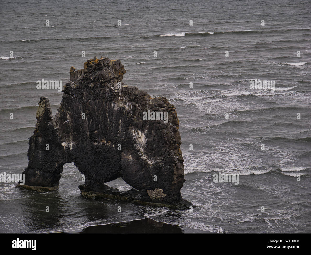 El único gran Hvitserkur roca basáltica en la costa islandesa Foto de stock