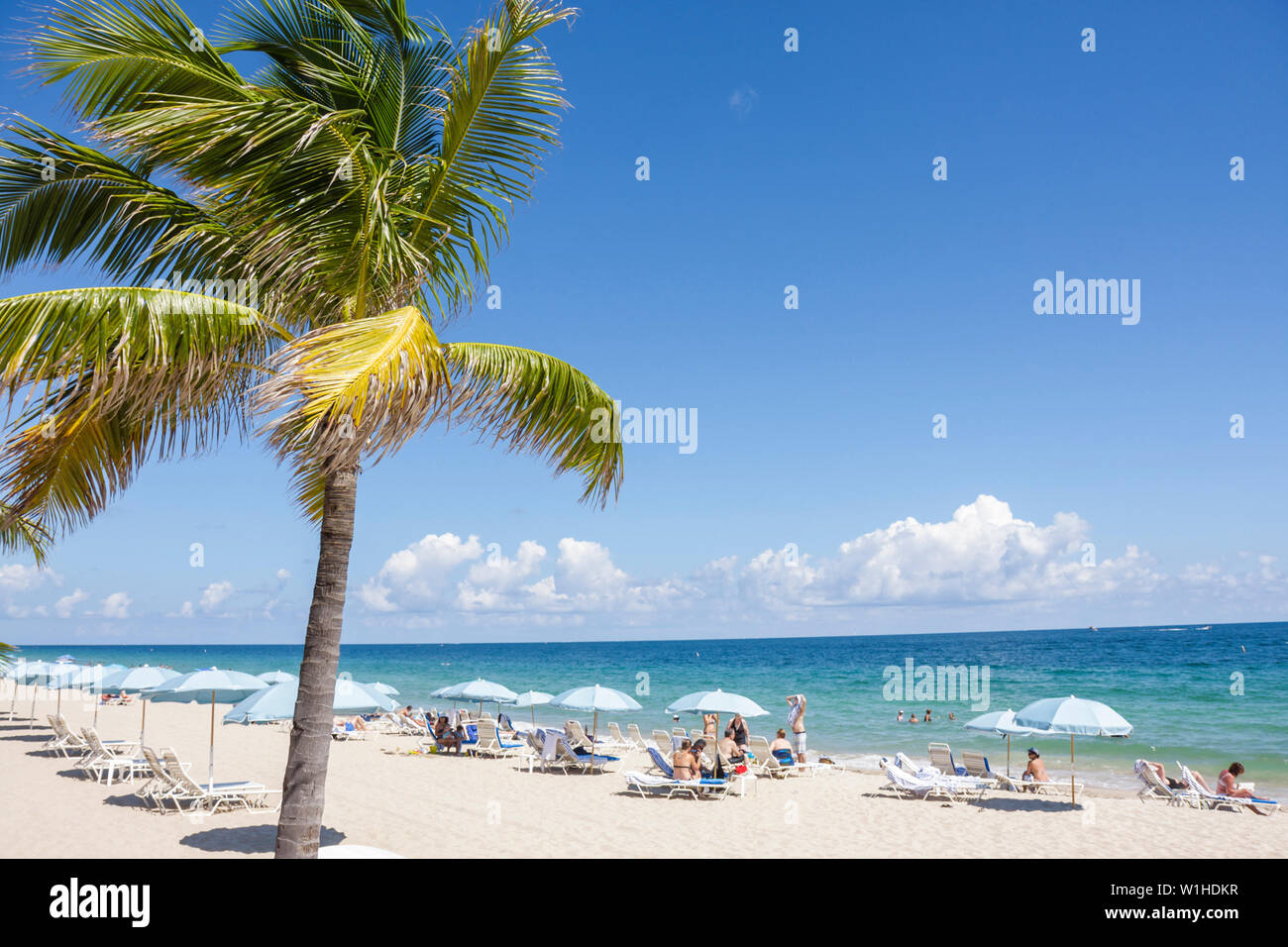 Fort Ft. Lauderdale Florida Beach, North Atlantic Avenue, A1A, playa pública, palmeras, sombrilla, chaise longue, océano, costa, arena, ocio, surf, FL091010103 Foto de stock