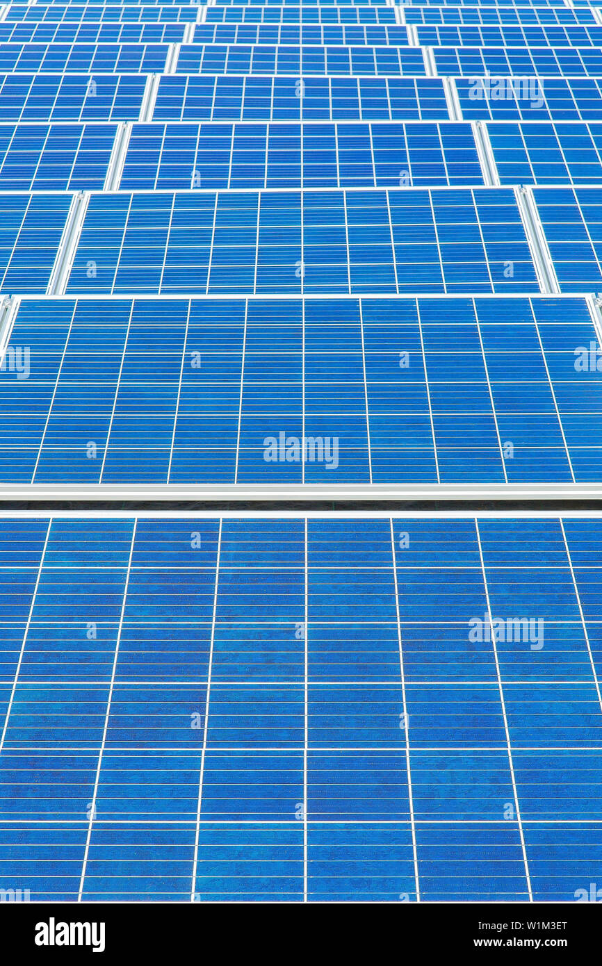 El campo azul simétrica con muchos nuevos colectores solares Foto de stock