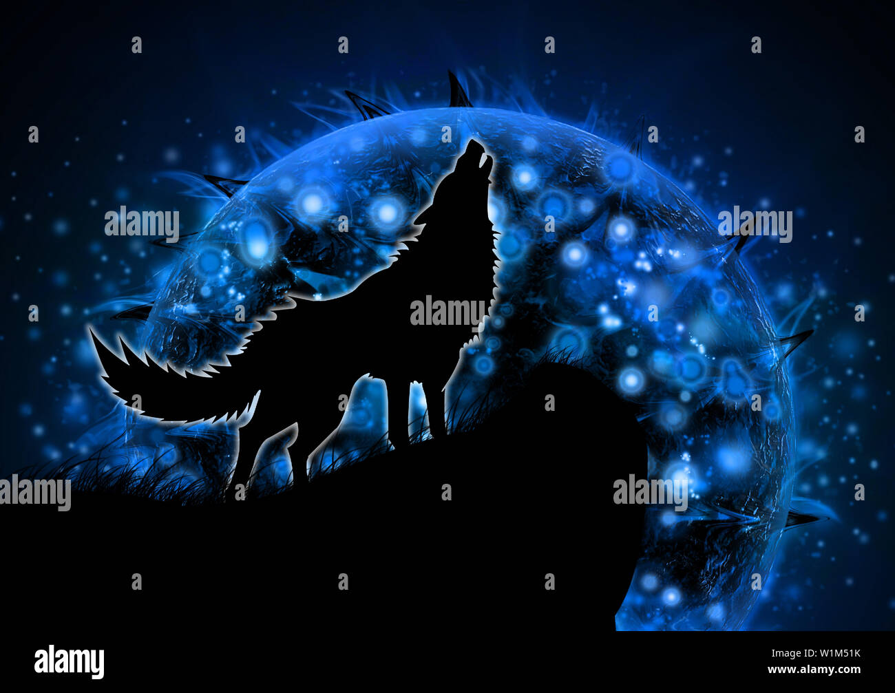 Lobo azul fotografías e imágenes de alta resolución - Alamy
