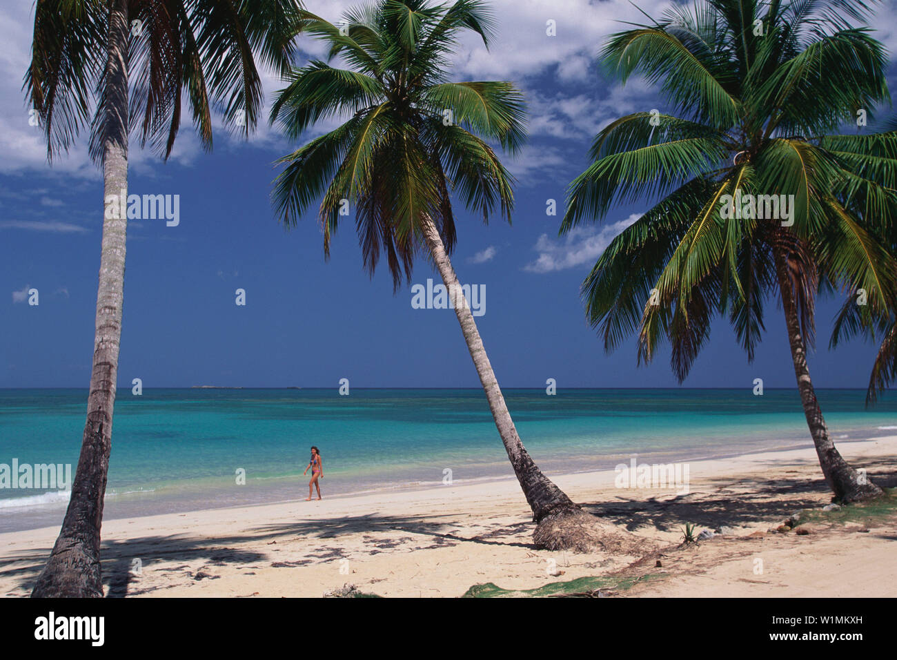 Palmenstrand, Dominikanische Republik Karibik Foto de stock