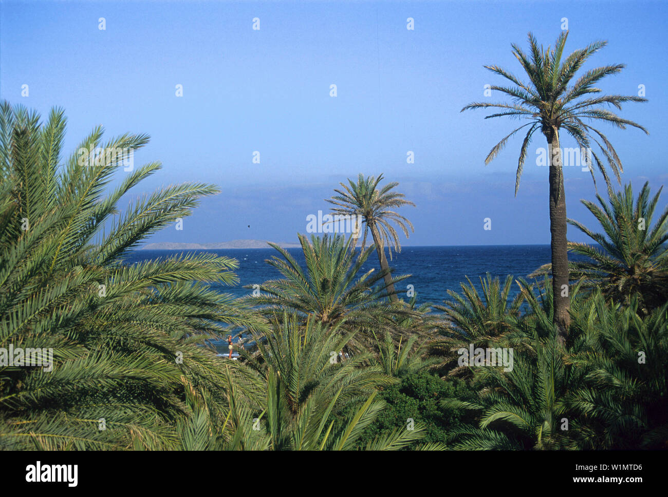 Palmenstrand, Vai, Kreta Griechenland Foto de stock