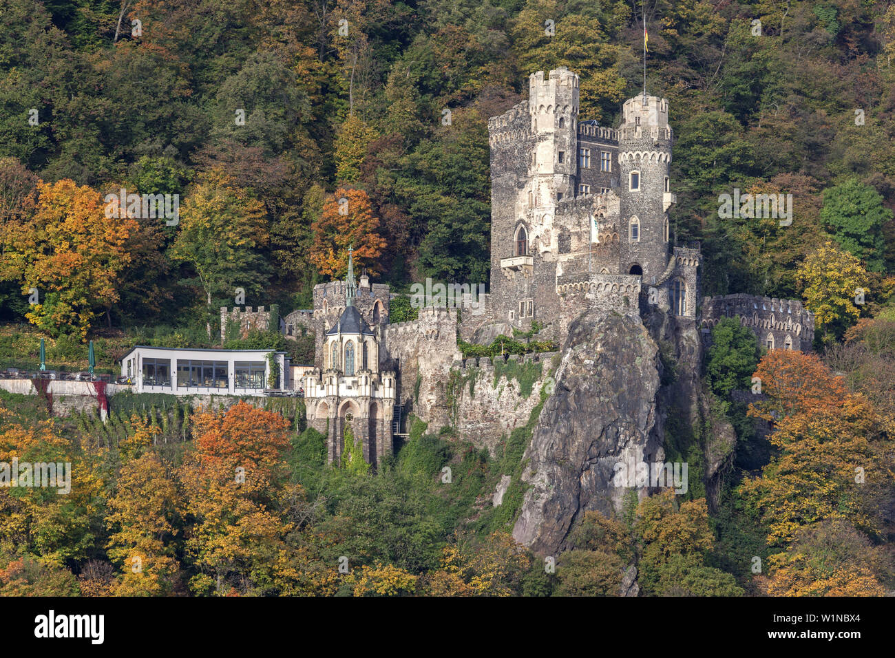 Burg Rheinstein castillo por el Rin, cerca Trechtingshausen, Alto Valle del Rin Medio, Rheinland-Palatinate, Alemania, Europa Foto de stock