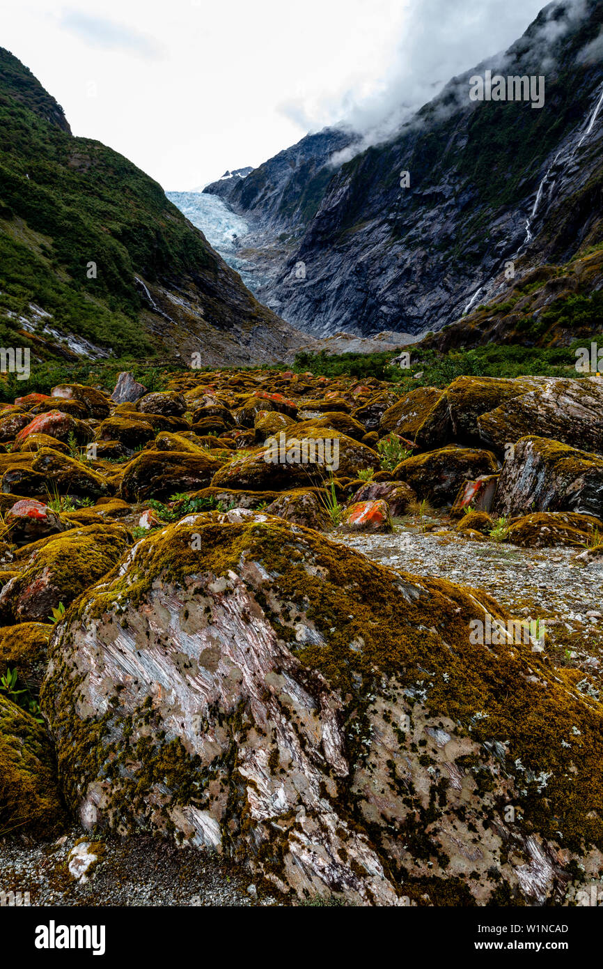El suelo del valle, el glaciar Franz Josef, Isla del Sur, Nueva Zelanda Foto de stock