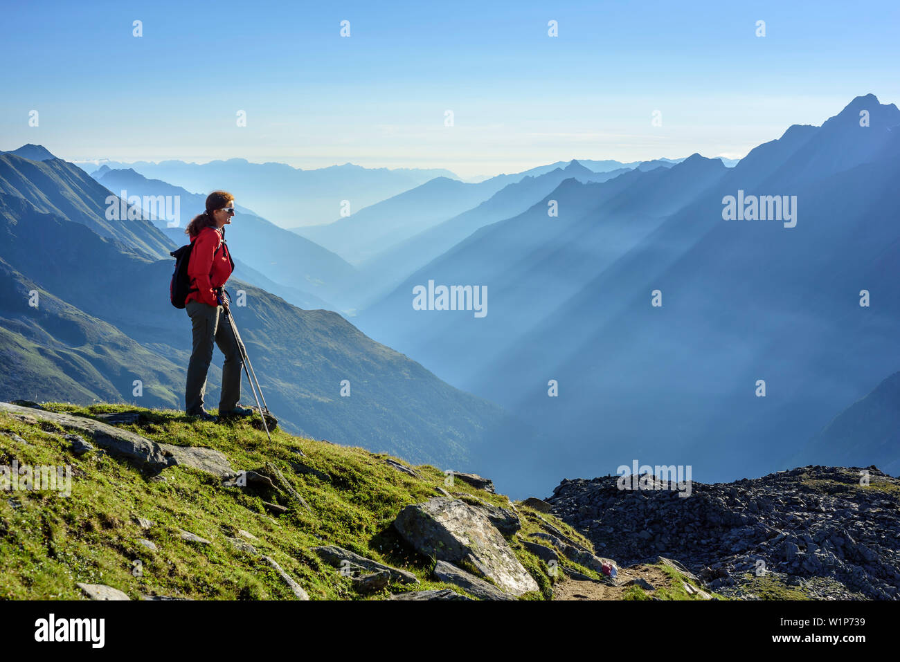 Mujer senderismo mirando hacia el valle de Stubai, Unterbergtal highroute, Grosser Troegler Stubai, Alpes, Tirol, Austria Foto de stock