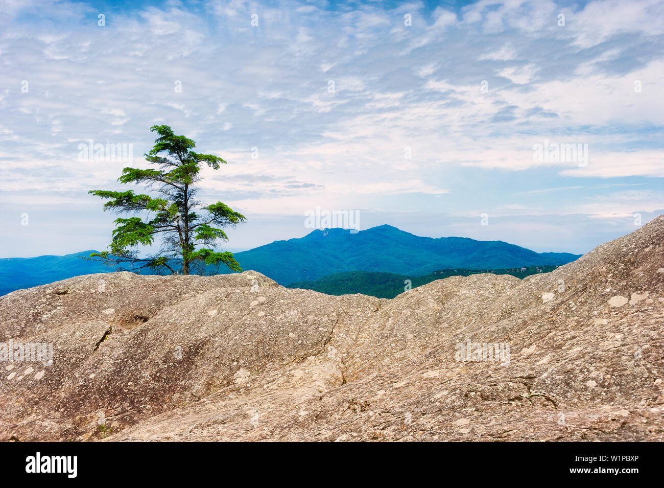 Con vistas a una zona rocosa en la frontera a lo largo de la Blue Ridge Parkway Unidas Park en Carolina del Norte. Foto de stock
