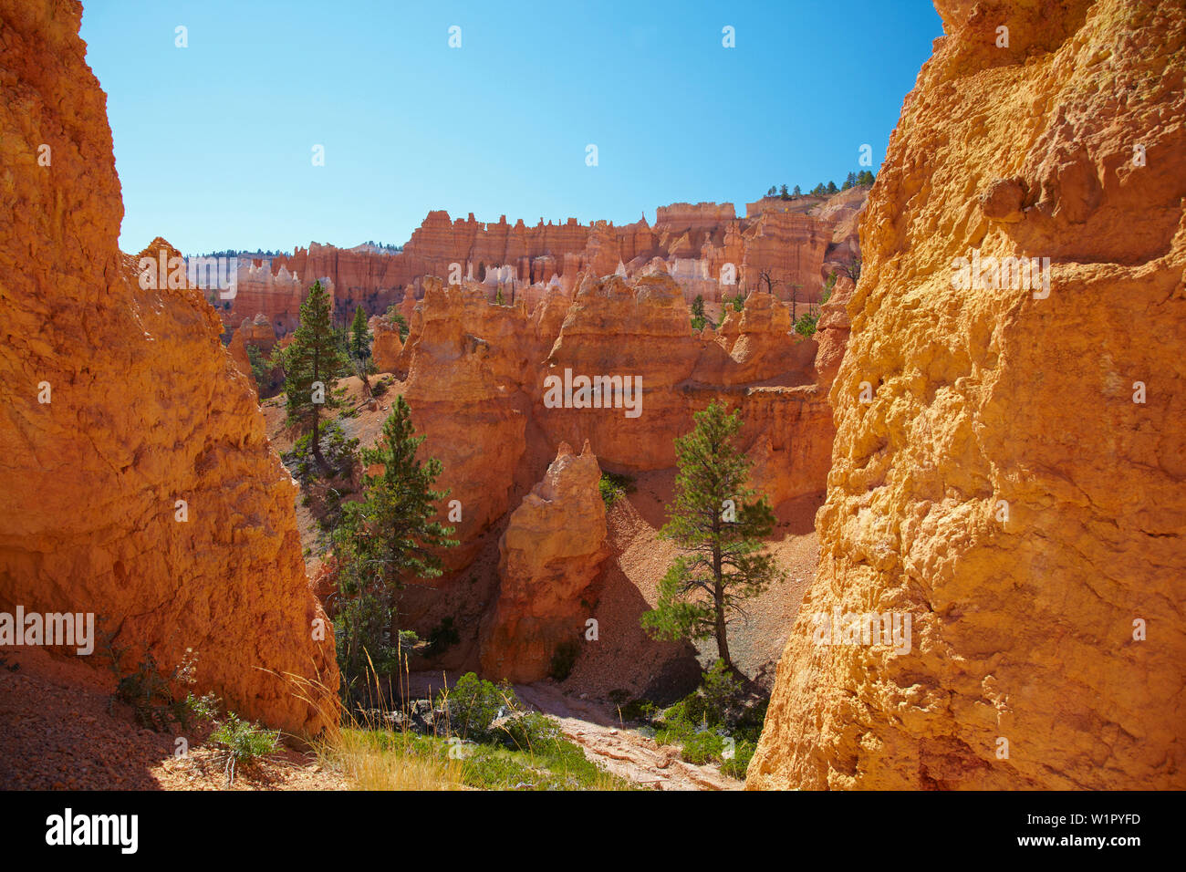 Queens Garden Trail , Bryce Anfiteatro , Bryce Canyon National Park , Utah , Estados Unidos , América Foto de stock