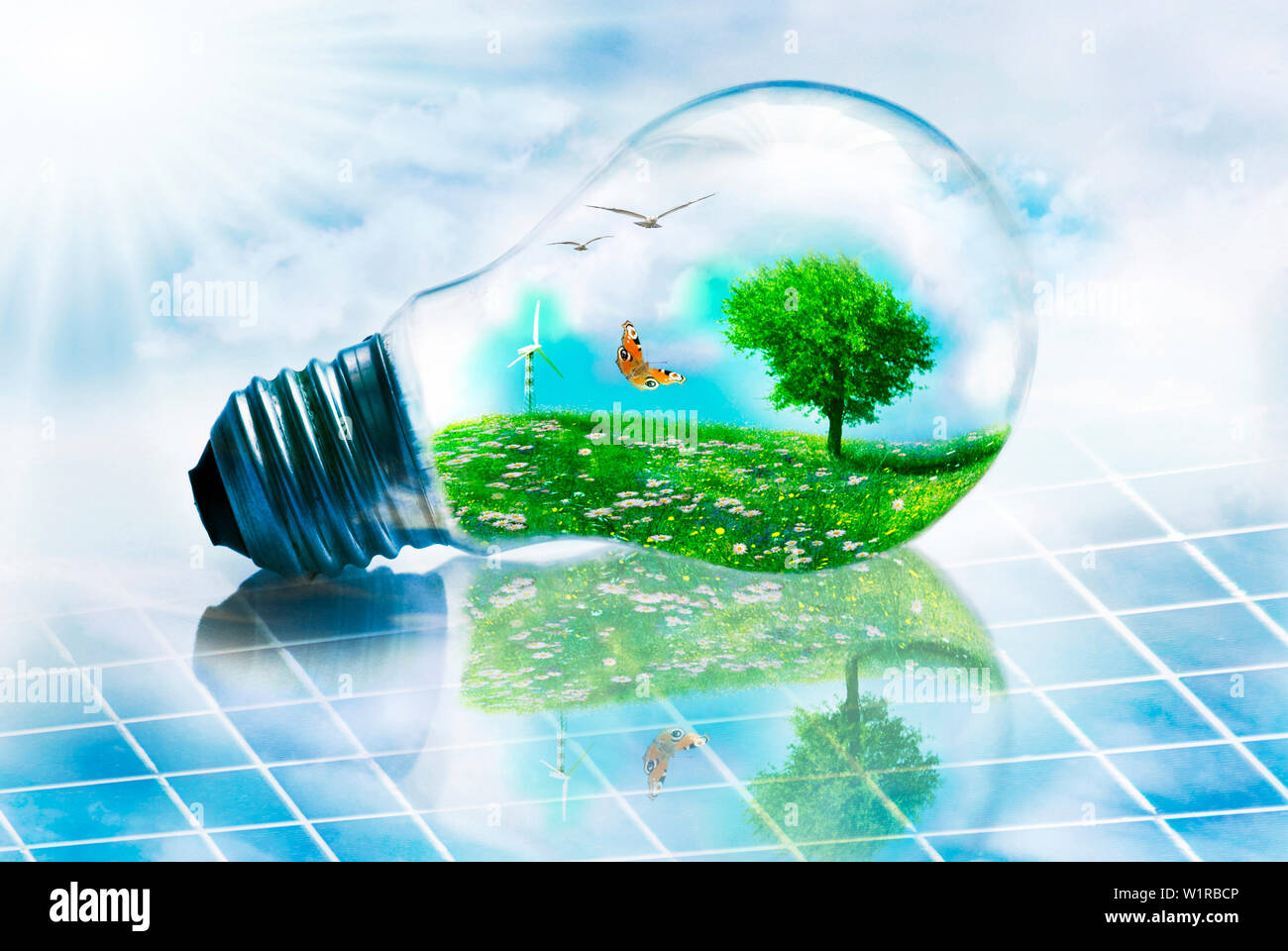 Escena de un paisaje ecológico insertado en una bombilla en un panel solar Foto de stock