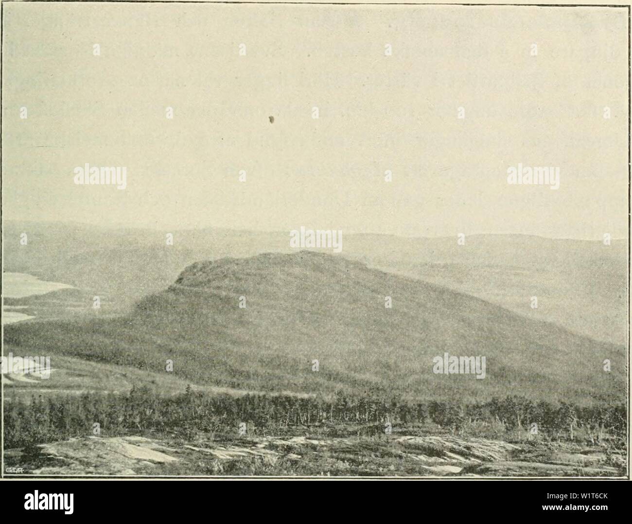 Imagen de archivo de la página 94 del Den norrländska florans geografiska. Den norrländska florans : geografiska fördelning och invandringshistoria ; särskild med hänsyn till dess sydskandinaviskar arter dennorrlndskaf00ande Año: 1912 SYDBERGENS FLORA OCH VEGETACIÓN 77 tre af de nedan närmare omtalade fyra sydbergen Istjakk, Laisvare, Vuor- nats och Aistjakk resa sig. Dit är i alt 250-270 km. från kusten norska, och enligt Gayelins barometerafvägningar (94, s. 71) ligger lägsta pass- punkten, Jårrumpasset, 704 m., Medan något längre söderut pasar på 725 765 m. finnas och. De förut Utaf för Lule lap Foto de stock