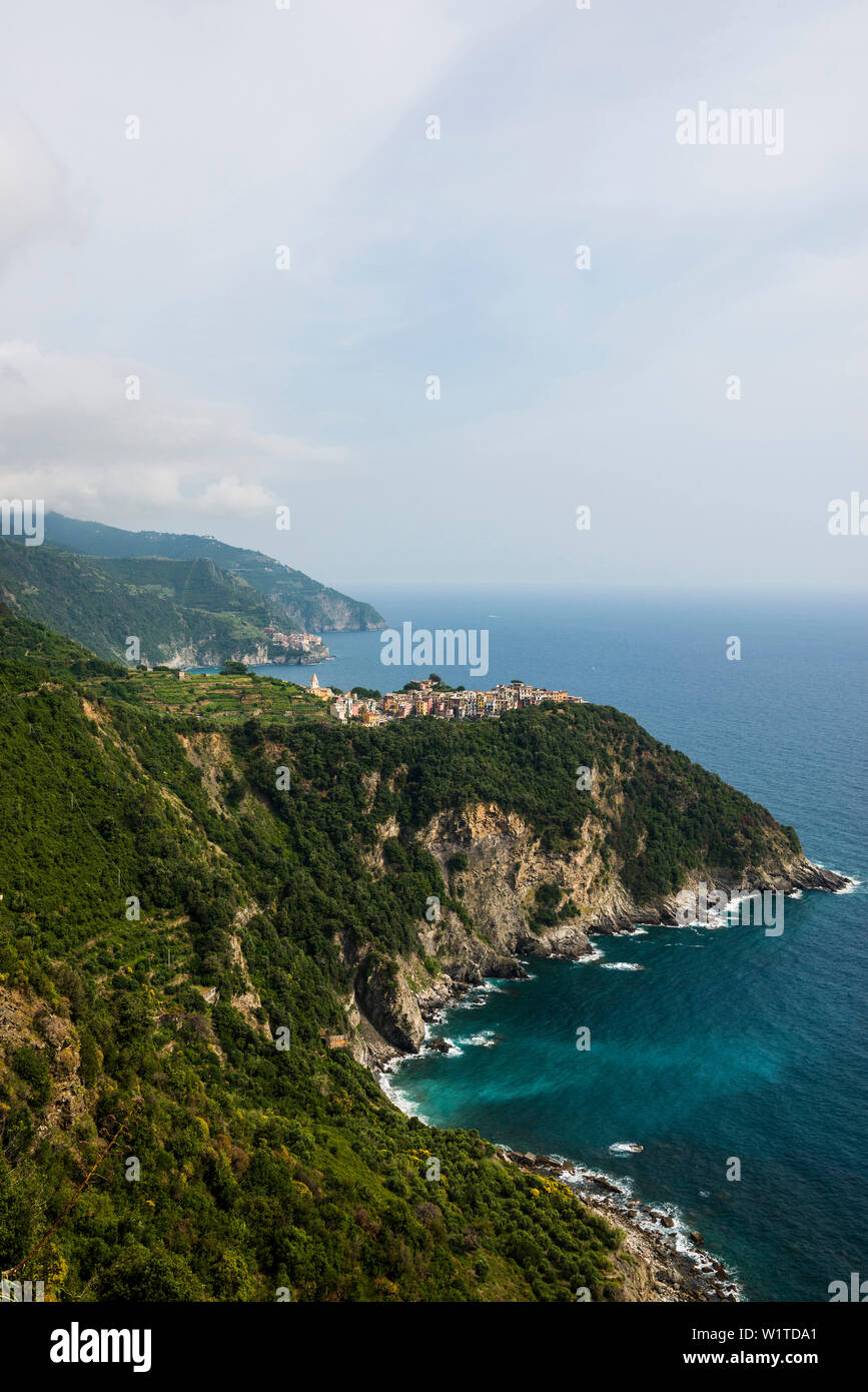Corniglia, Cinque Terre, Sitio del Patrimonio Mundial de la UNESCO, en la provincia de La Spezia, Liguria, Italia Foto de stock