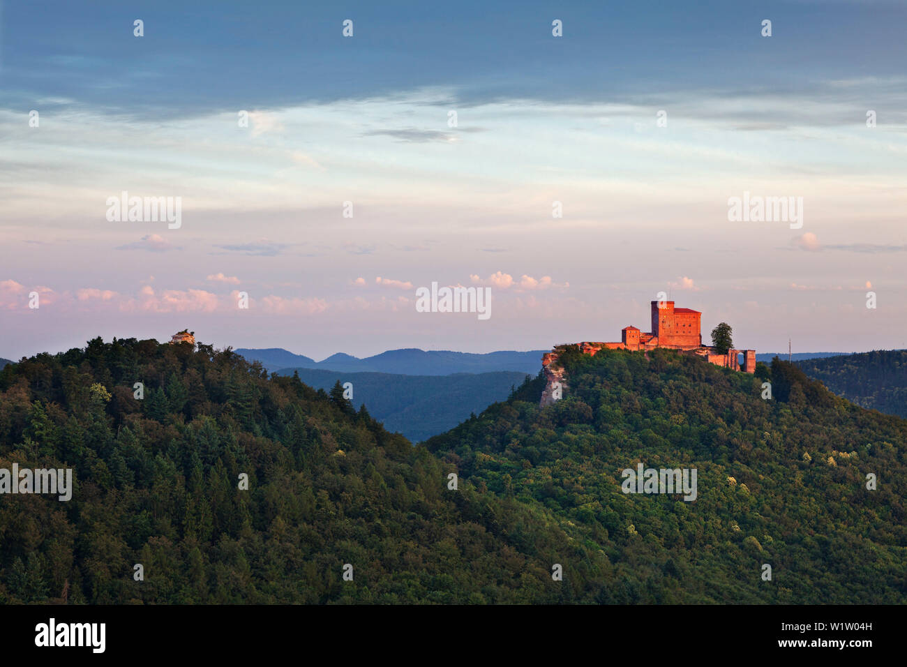 Castillo Trifels, cerca del bosque del Palatinado, Annweiler, Renania-Palatinado, Alemania Foto de stock