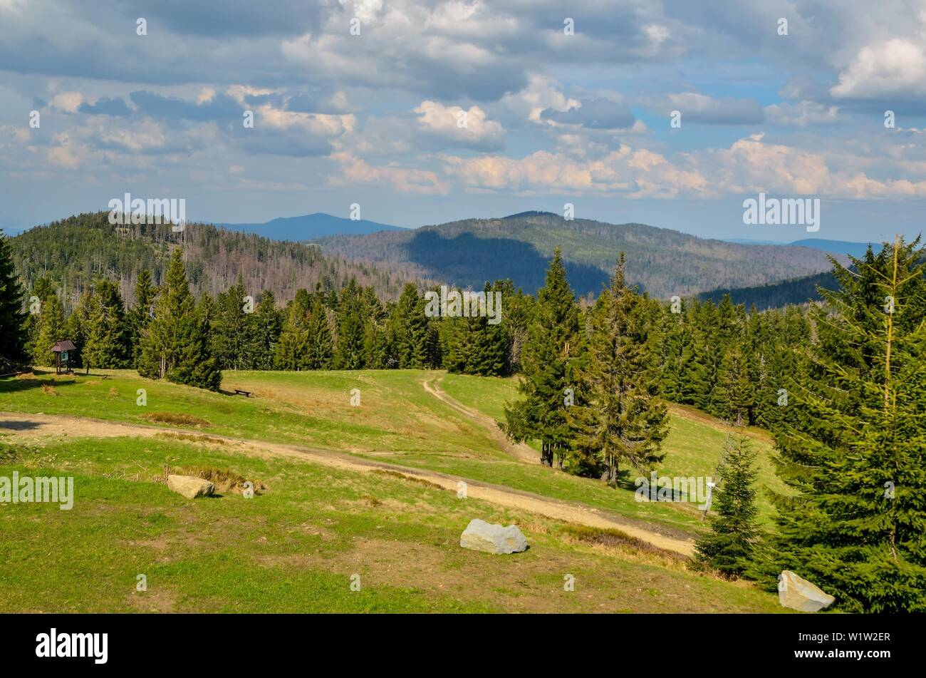 Hermoso paisaje de montaña de primavera. Limpieza verde en un sendero de montaña. Foto de stock