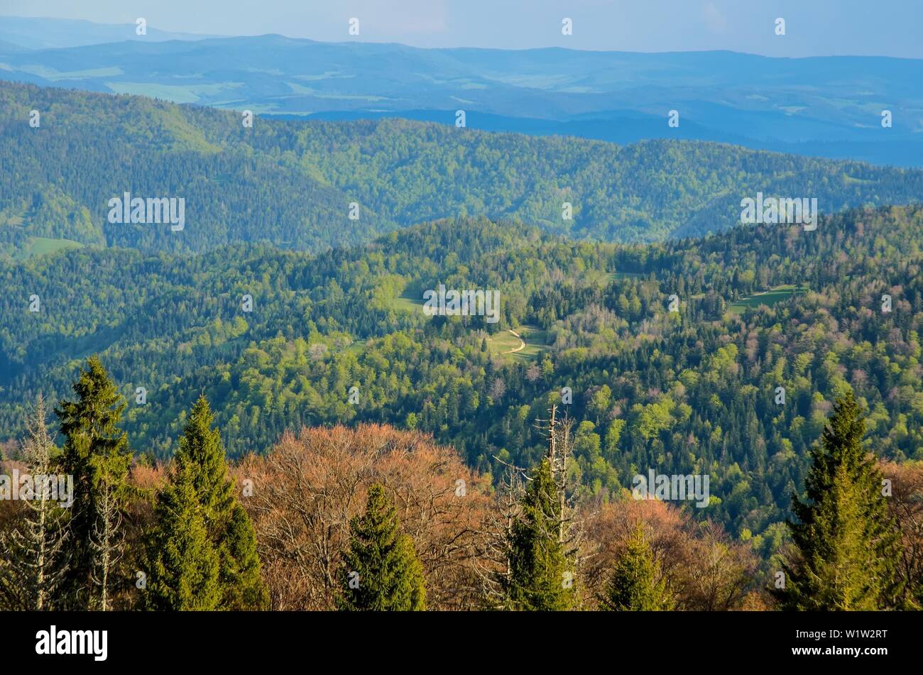 Hermoso paisaje de montaña de primavera. Colorido día en las hermosas colinas. Foto de stock