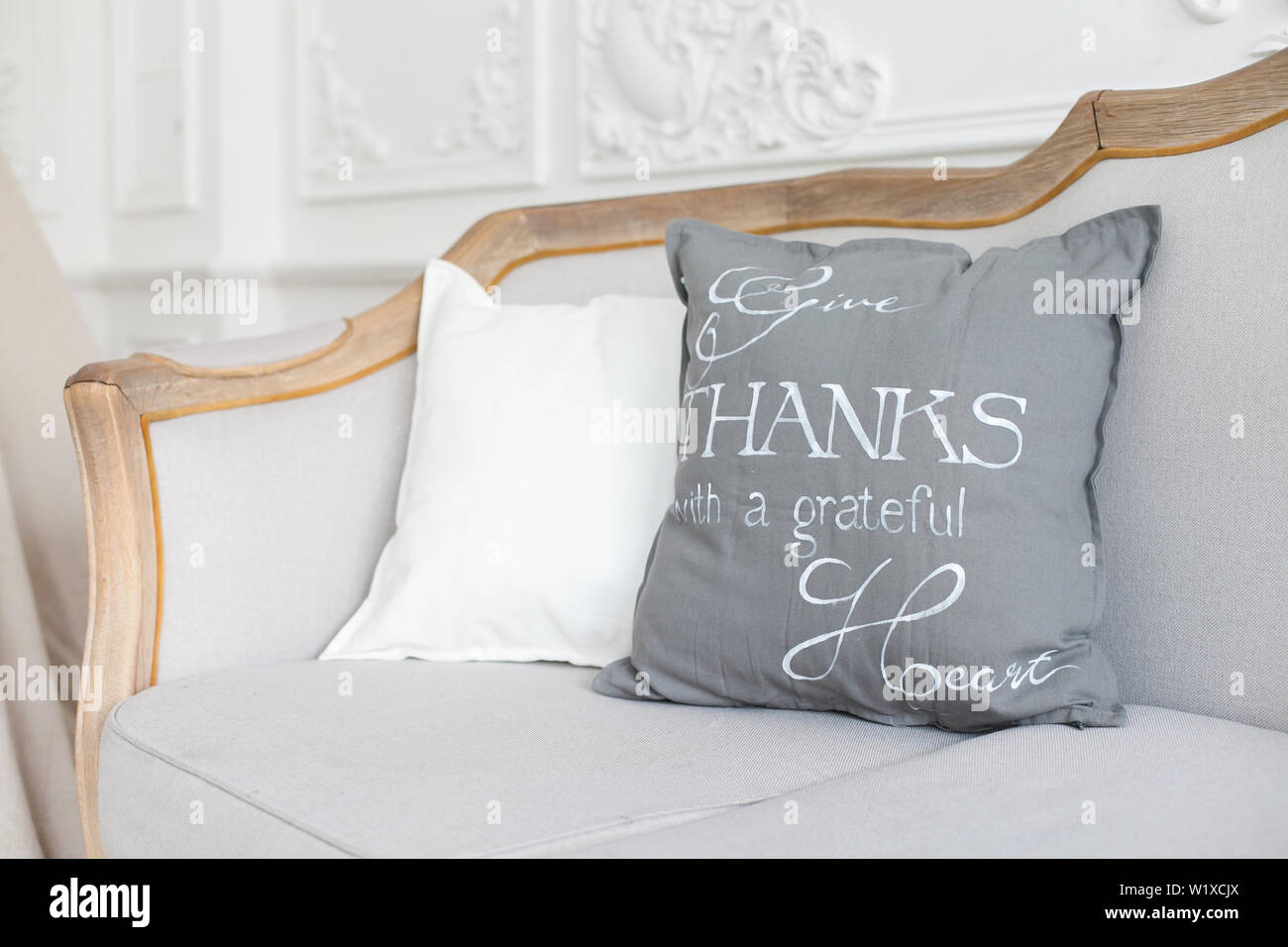 Almohadas creativas online