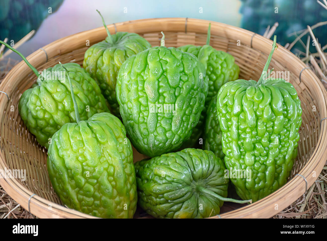 Calabaza amarga fresco del jardín en cestas de bambú. Foto de stock