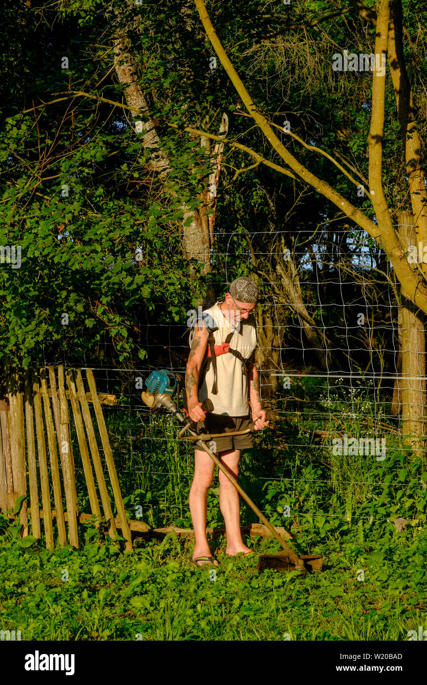 Hombre utilizando un strimmer para talar y hierbas en un jardín, el condado de Zala hungría Foto de stock