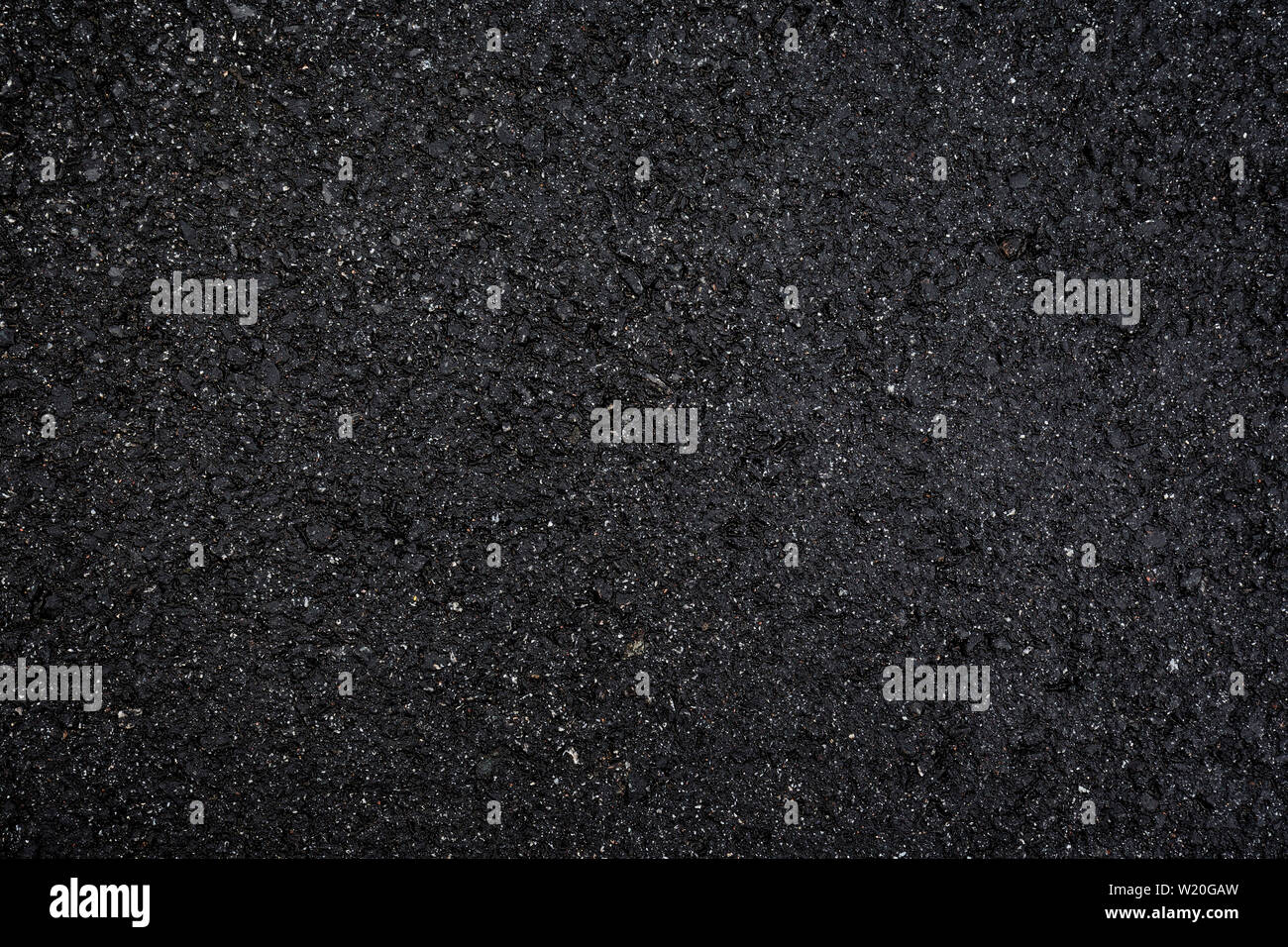 Hiperecia fotografías e imágenes de alta resolución - Alamy