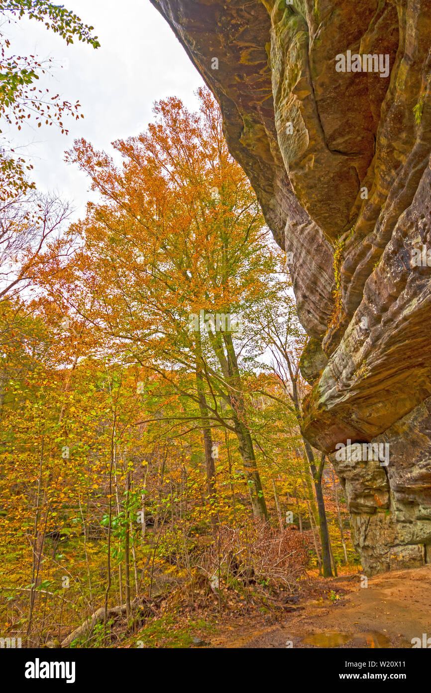 Colores de otoño de bajo un acantilado de arenisca en el Rim Rock National Trail en Shawnee National Forest en Illinois Foto de stock