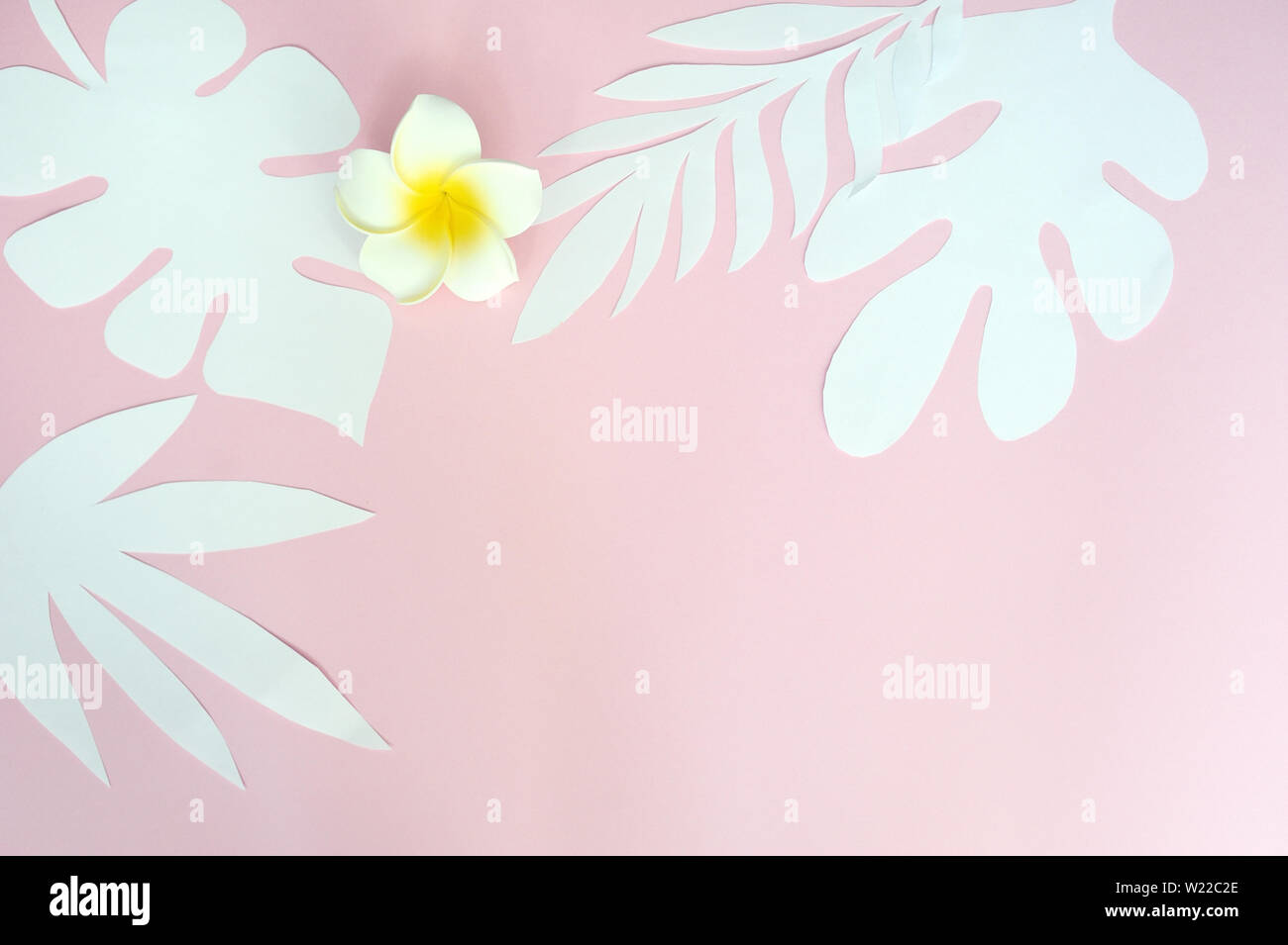 Hojas tropicales y flores blancas sobre fondo de color rosa de papel. Lugar para el texto. Concepto para un viaje exótico. Sentar plana Foto de stock